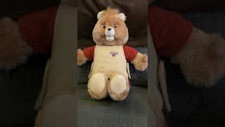 Teddy ruxpin all about bears