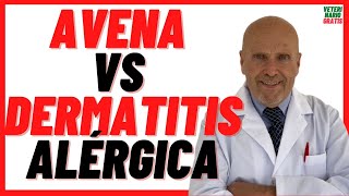 🔴 Cómo Curar La Dermatitis Alérgica En Perros 🔴 Por Picadura De Pulgas Y Ácaros 🔴 Con Avena 🔴