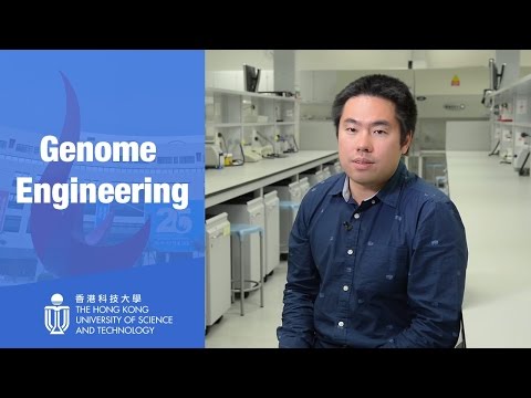 Genome Engineering: Technologies