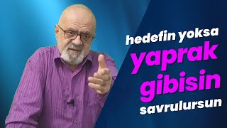 HEDEFİN YOKSA YAPRAK GİBİSİN SAVRULURSUN #rüzgar #yaprak #rasimingünlüğü