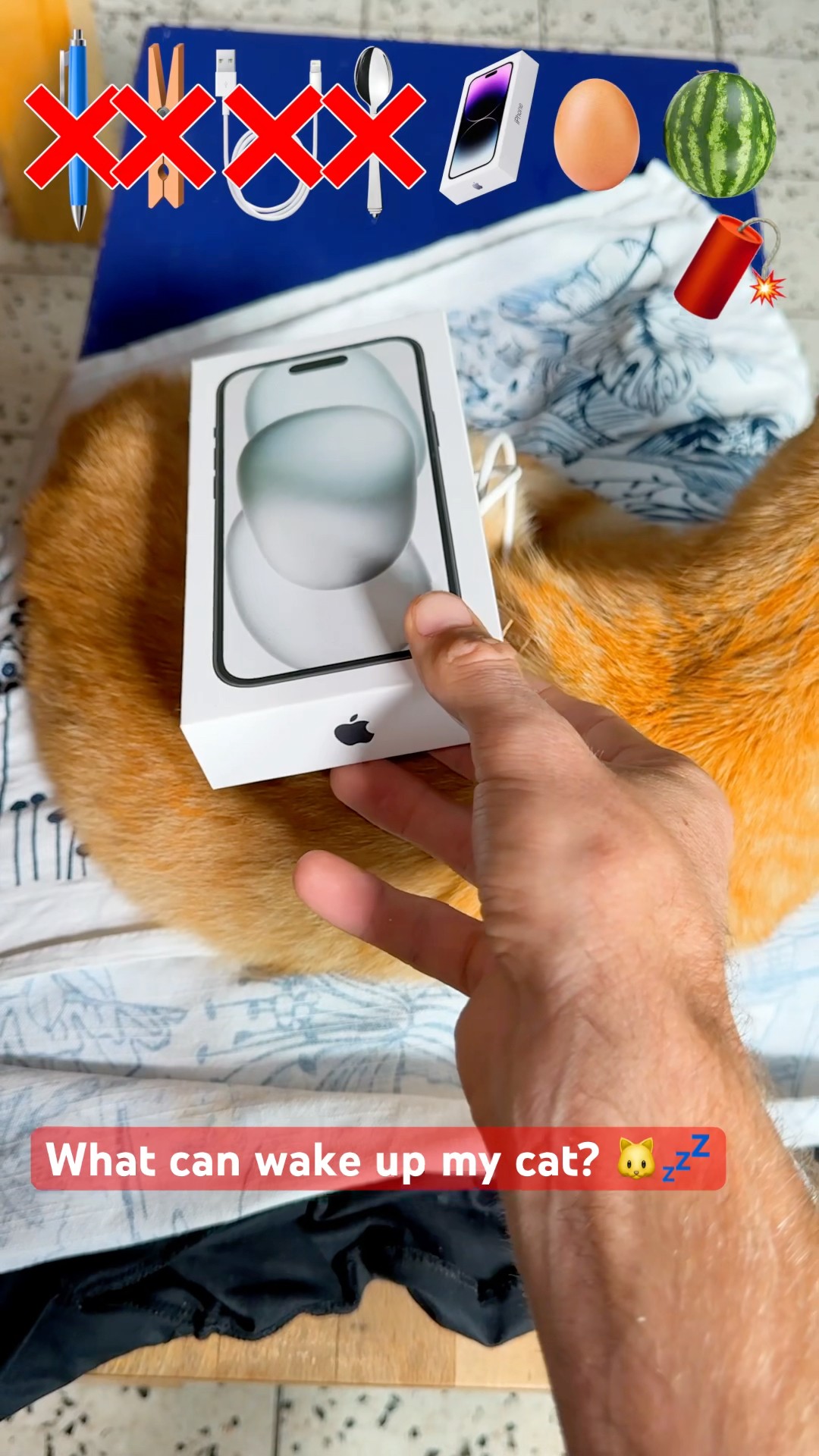 What item can wake up my cat? ??