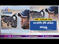 MS Dhoni's Ranchi farm gets 2,000 chicks of Kadaknath breed