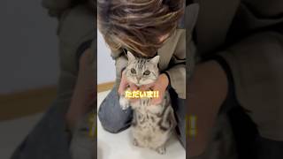 品数がめちゃくちゃ多くて幸せでした