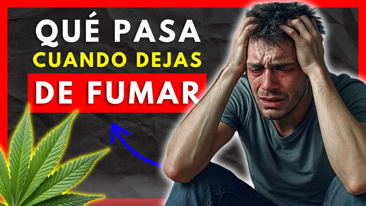 ✅【Qué le pasa a Tu Cuerpo cuando DEJAS de Fumar PORROS】🧠 Cómo Dejar la Marihuana