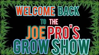 The Joe Pro's Grow Show (Day 46 to day 50)