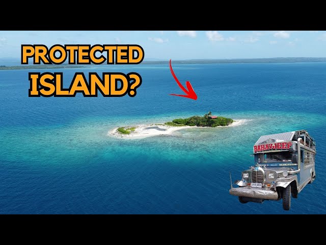 Why This Tiny Island is Being Protected from People? | Binabasalan Island | Jeepney House | class=