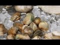 How To Clean And Prepare Clams How To Clean And Prepare Clams