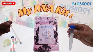 DNA Extraction Kit | See Real DNA – Fun Genetics Science Experiment for Students | Bioskool kits |