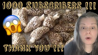 🔥2023 Morel Mushrooms 1000 Subscribers🔥Foray Drawing Info Plus Illinois Morel Hunt, #morelhunting
