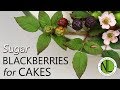 Make Sugar Blackberry Leaves | Cake Decorating Tutorial With Chef Nicholas Lodge