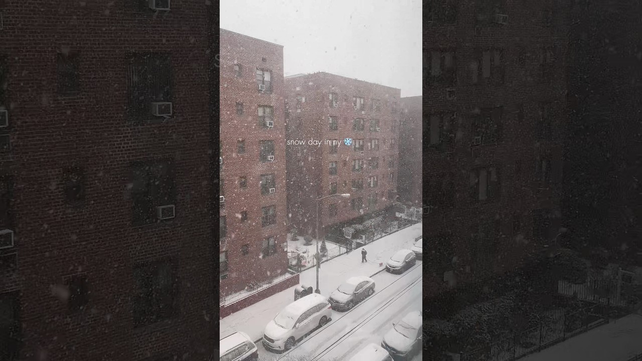 Snow day in NY ❄️ 