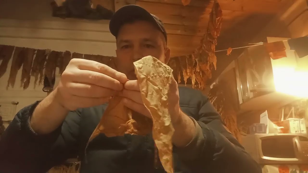 Трапезонд92 24года✊✊✊🤝