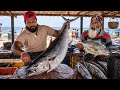 Amazing Fish Cutters Expert Cutting Skills You've Ever Seen 😲 | Knife Skills at Coastal Market