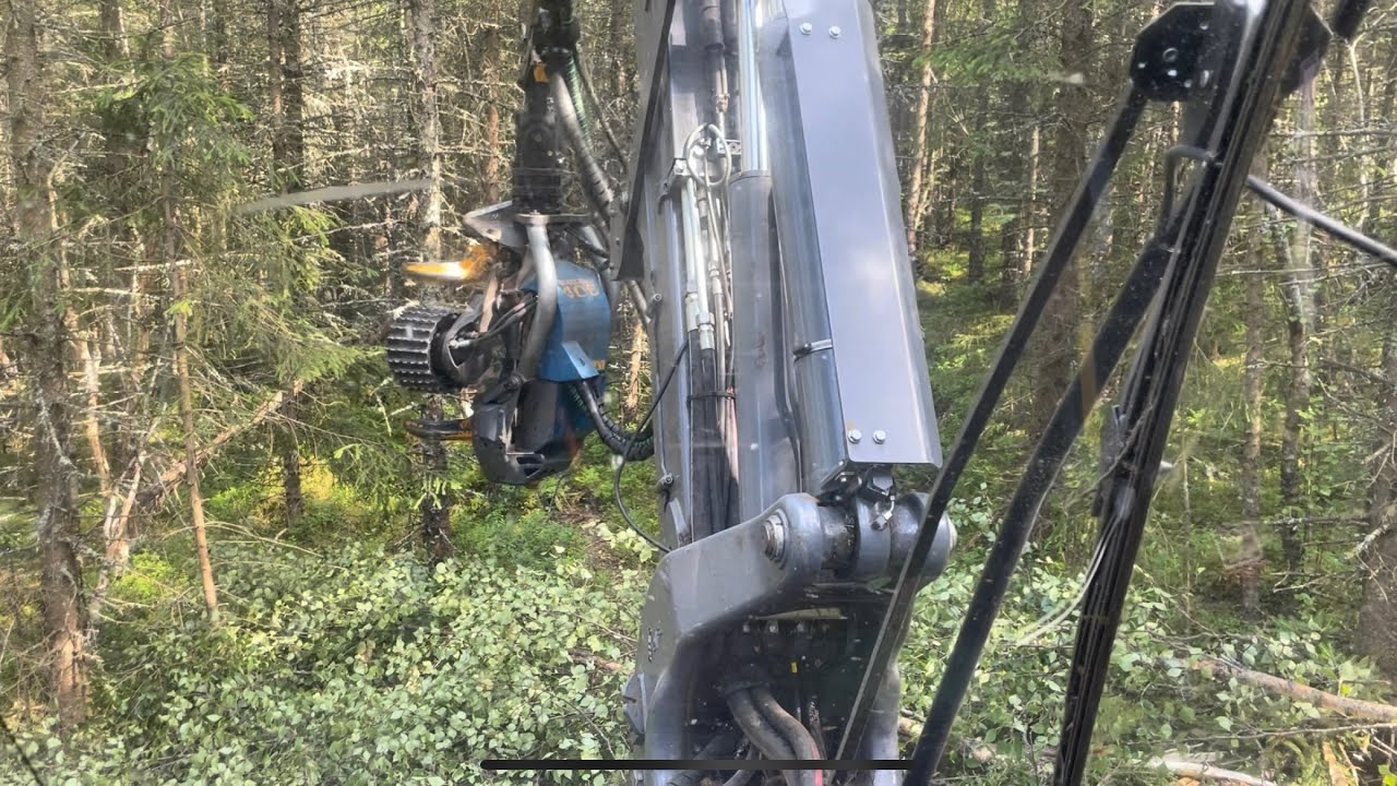 Rottne H8e thinning smal spruce