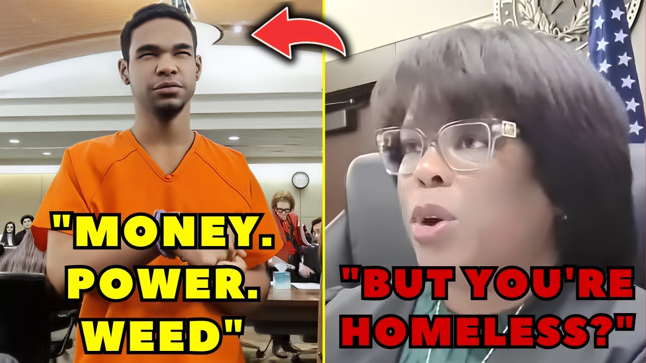 "I Just Wanted A Shower!" Judge ROASTS Burglar's 'Money Power Weed' Delusion (INSTANT REGRET)