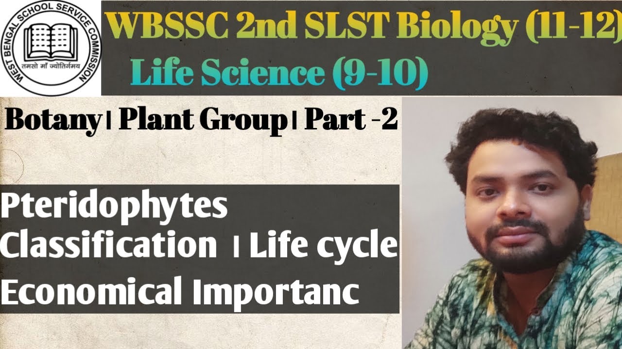 SLST Preparation।Botany।Plant Group। Part-2। Pteridophytes 