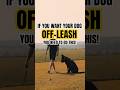 DO YOU WANT YOUR DOG RELIABLE OFF-LEASH? #dogtraining #offleash #ecollar #ecollartraining #dogtips