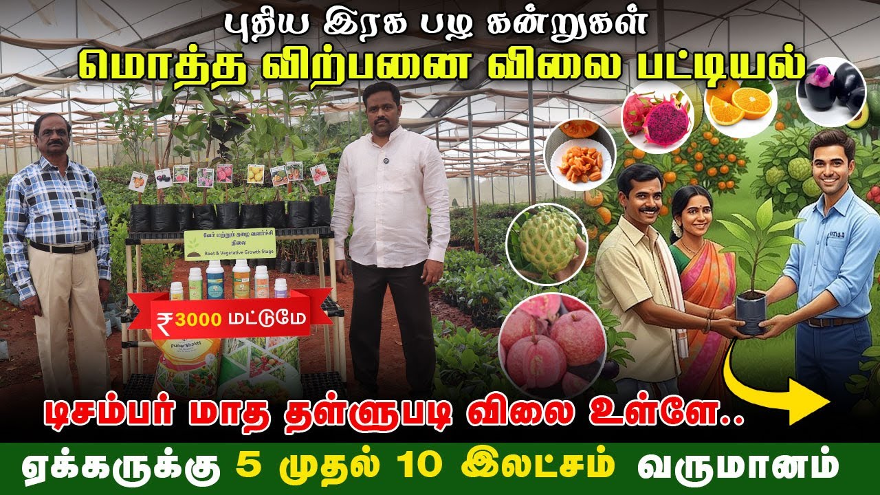 பழக் கன்றுகள் மொத்த விற்பனை விலை பட்டியல் | ஏக்கருக்கு 5–10 லட்சம் வருமானம் #fruitplantnursery