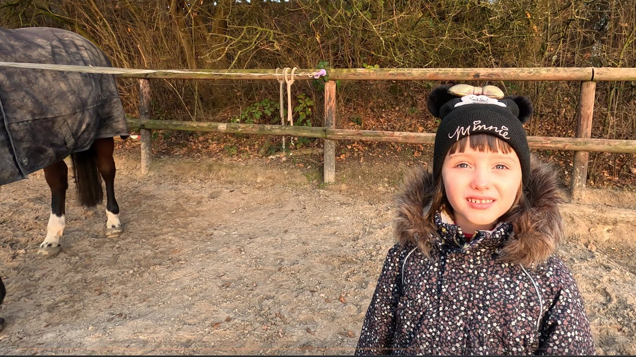 Зима в конюшне