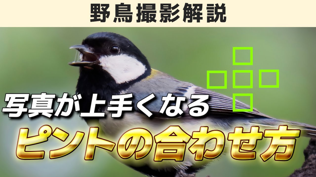 最高峰照準器】ホビーズ フォトサイトシリーズ Kingfisher（キング