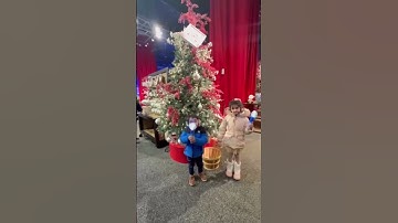 Jingle bell 🔔 || #viral #shorts #ytshorts #trending #youtubeshorts #shortvideo #christmas #funny