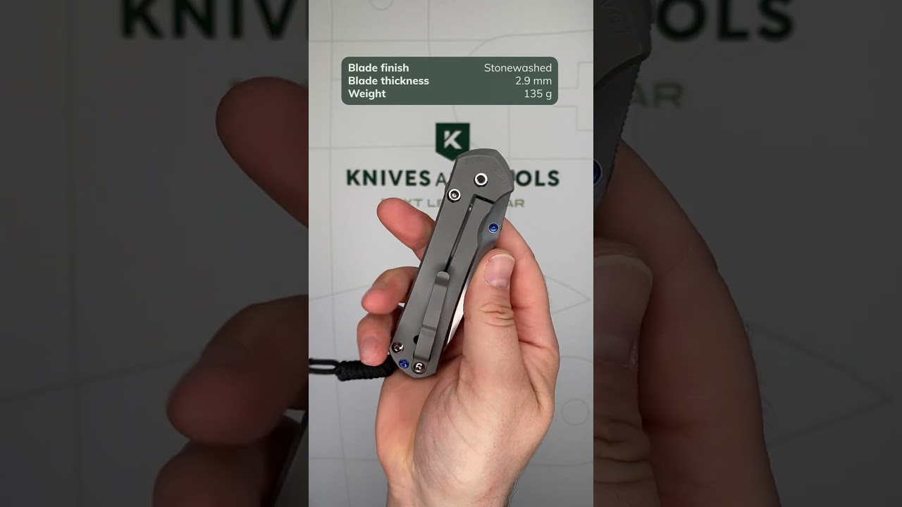 Chris Reeve Sebenza 31 Large Plain Glass Blasted Insingo L31-1685