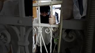 צו ראשון לחרדים 2