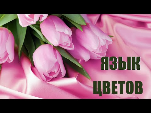 8 МАРТА -  КАКОЙ Букет подарить маме, девушке, жене, сестре? Что означает каждый цветок: язык цветов