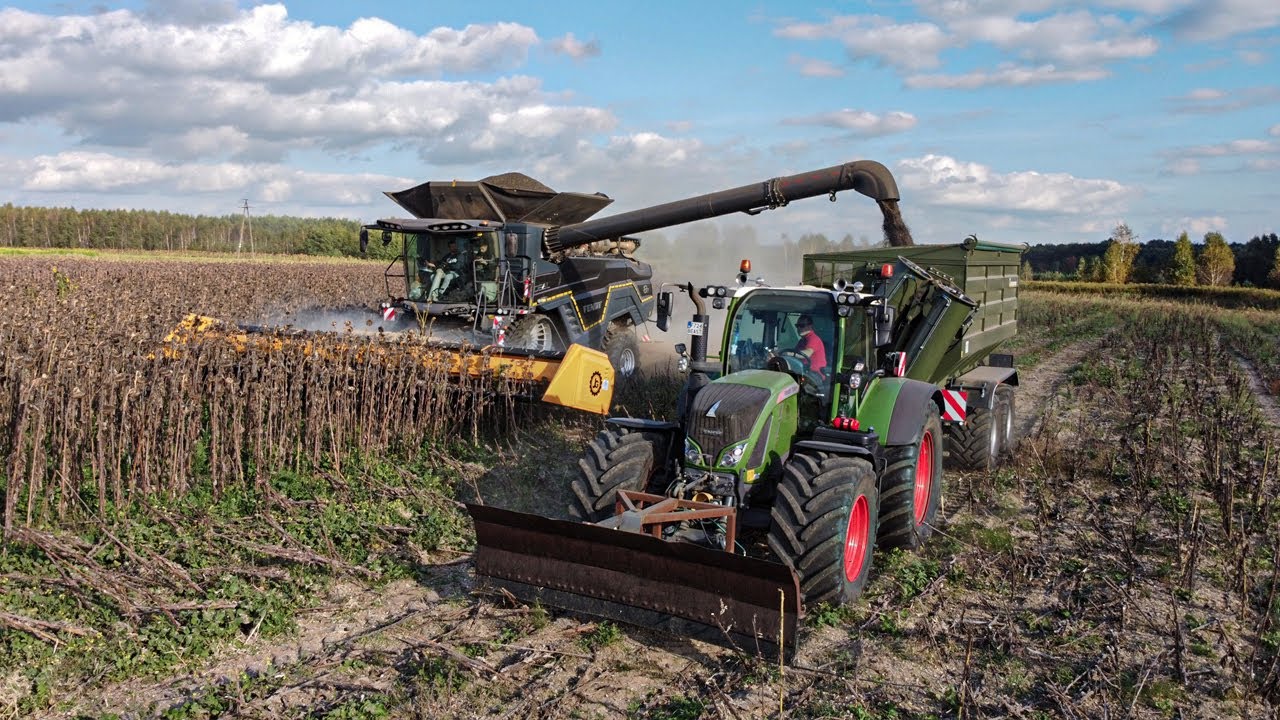 Zbiór Słonecznika 2023 ☆ Fendt Ideal 8T ☆ 2x Fendt 724 ☆ Kobzarenko ☆ Wromar Agro ☆