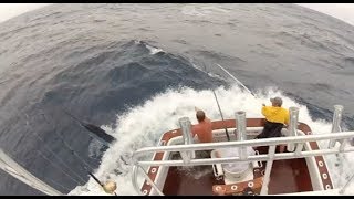 BLACK MARLIN EPIC BATTLE | Billfish TV 0100