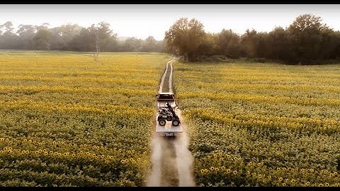 BroodMinder: Essential Hive Monitoring for Professional Beekeepers