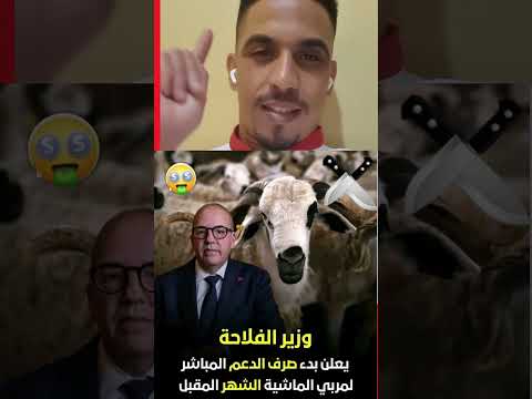 الدعم للكسابة   اكلتك النظافه
