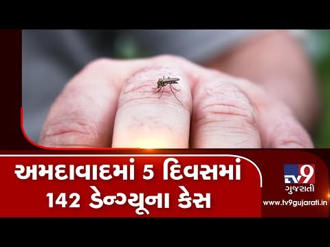 Epidemics break out in Gujarat; 142 cases of dengue reported within 5 days | Tv9GujaratiNews