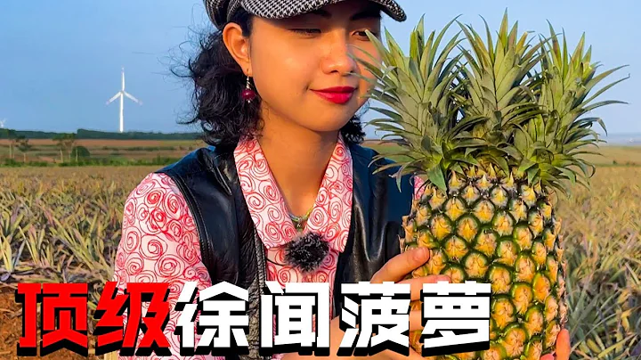 🍍不用去台湾，来徐闻菠萝的海，大爷直接送菠萝！白送！！| 片尾测评巨无霸三头菠萝   #旅行 #房车 【达达有浪】 - 天天要闻