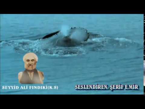 Seyyid Ali Fındıki Kaside - Seslendirme: Şerif E. MİR