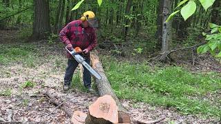Stihl 400c Day Two, Tops & Cookies. MS400c vs. cs2063