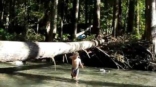 Braden takes a dip in 50-degree river water - Ohanapecosh, Mt Rainier National Park