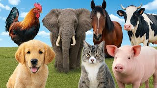 Learn Animals Sounds for Kids Part 3