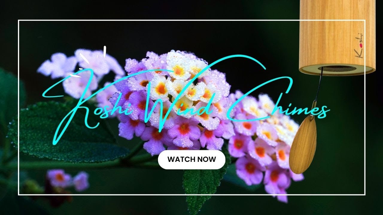 1 Hour of Gentle Relax with Koshi Wind Chimes Sounds Nature To relax
