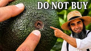 How to Pick a Sweet and Creamy Avocado... 5 Things to Look For How To Pick A Sweet Pineapple Every Single Time The Old Amish Way