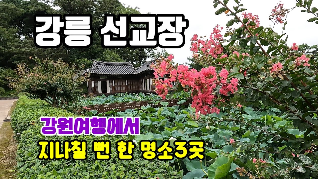 대궐밖 민가중 최대 | 추억의 분천역 | 황금박쥐 천곡동굴 - YouTube