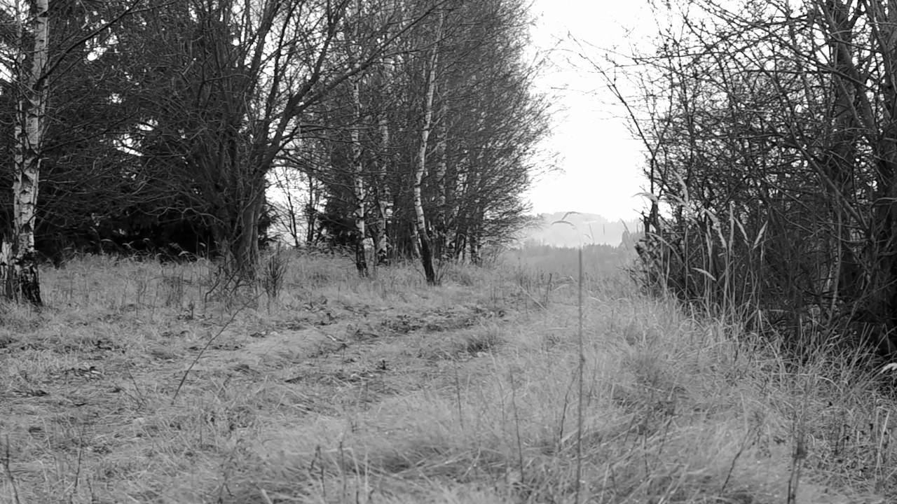 Bohuslav Martinů - Divertimento for two flutes