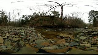 Pine Hills - Below The Devil's Backbone
