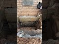 #satisfying