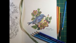 Coloring blue bird in “The Flower Year” coloring book by Leila Duly with Staedtler Ergosoft colored screenshot 1