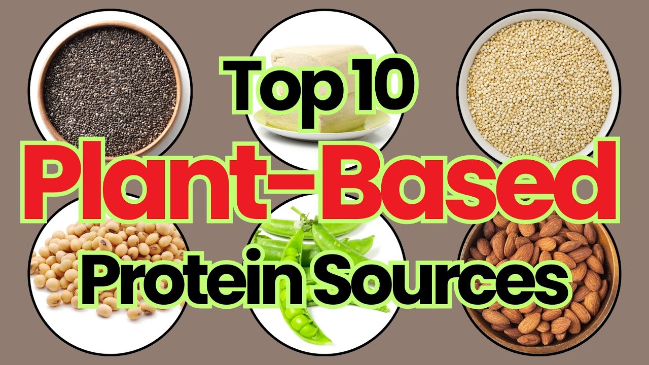 Top 10 PlantBased Protein Powerhouses YouTube