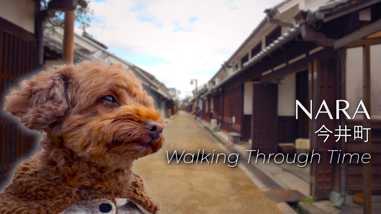 Silent Walk Through Japan’s Hidden Historic Town with My Dog [4K Healing Walk]