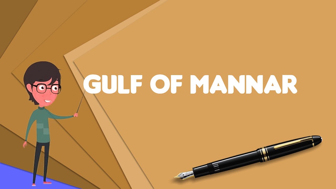what-is-gulf-of-mannar-explain-gulf-of-mannar-define-gulf-of-mannar