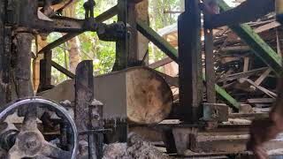 Smart Wood Processing: Transform Massive Logs into Perfect Planks!
