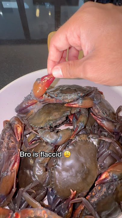 Buying Soft Shell Crab